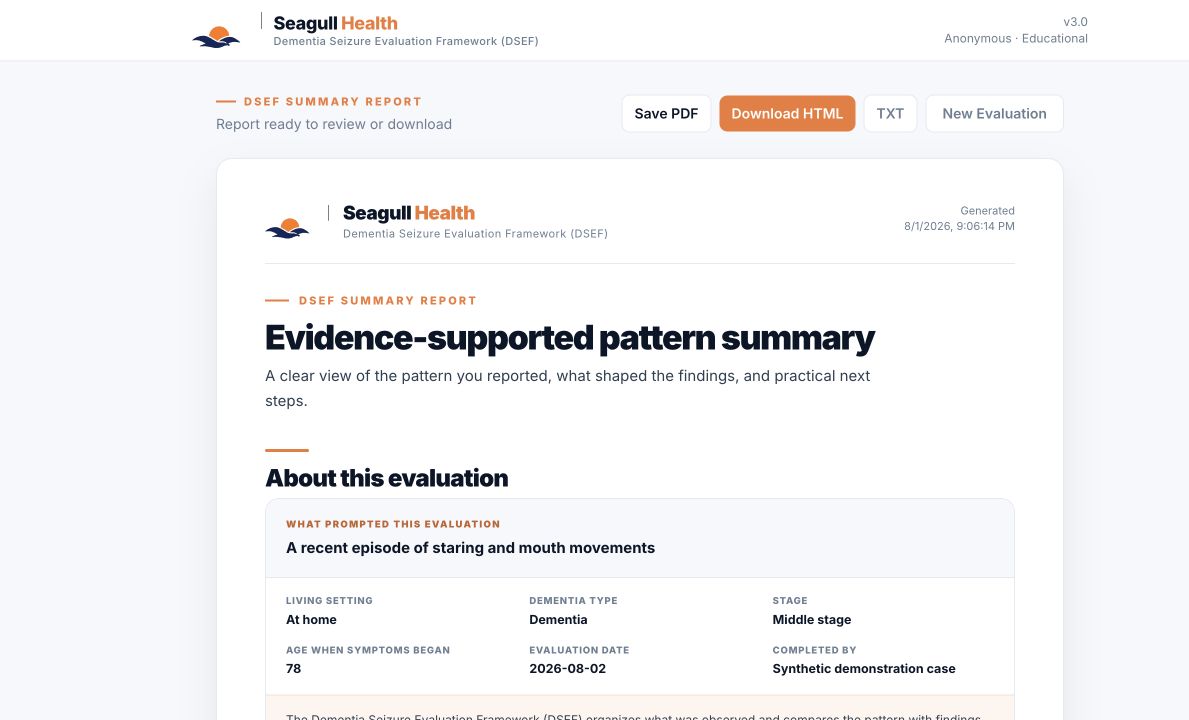 Example Dementia Seizure Evaluation Framework report showing evaluation context and visual result scales